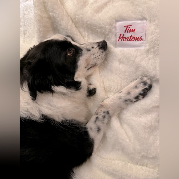 BNIP Tim Hortons LE Sherpa Stadium Blanket - Picture 7 of 7